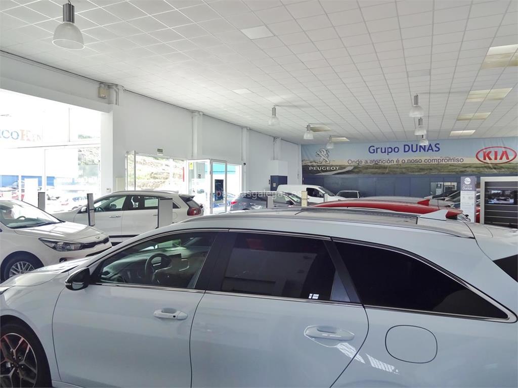 Grupo Dunas - Peugeot – Kia imagen 6