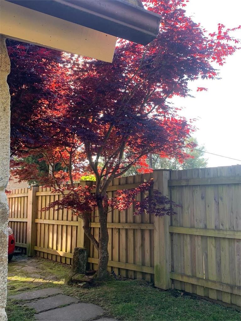 Grupo Edén imagen 11