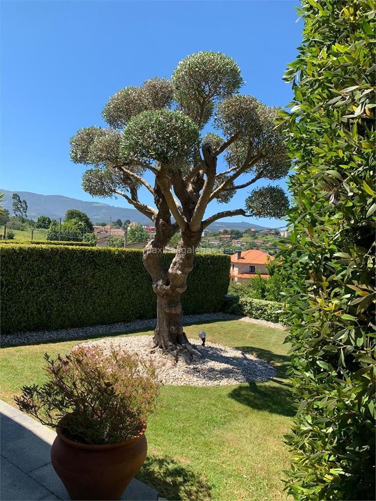 Grupo Edén imagen 13