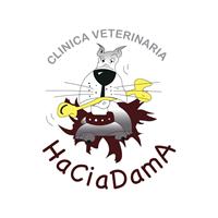 Logotipo Haciadama