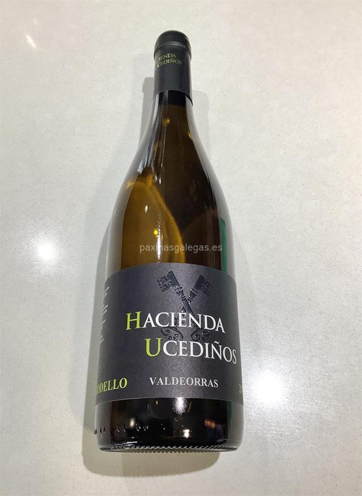 imagen principal Hacienda Ucediños S.L. (Godello y Mencía)