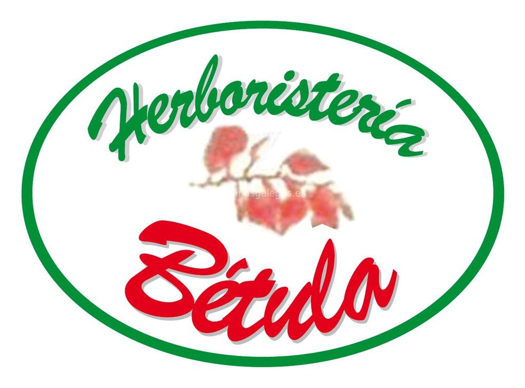 logotipo Herboristería Bétula