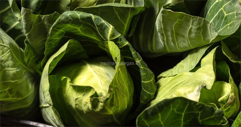 Hortasol, S.L. imagen 16