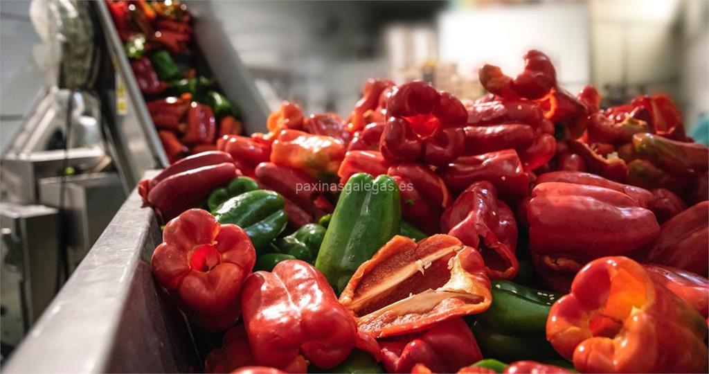 Hortasol, S.L. imagen 20