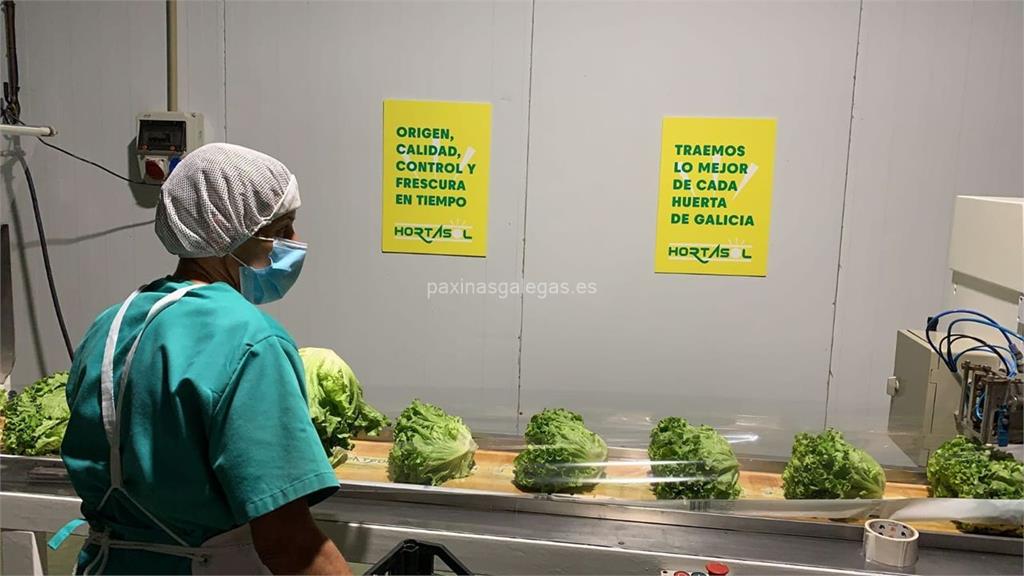 Hortasol, S.L. imagen 7