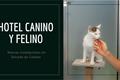 video corporativo Hotel Canino A Raposeira
