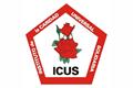 logotipo ICUS - Instituto de la Caridad Universal Solidaria