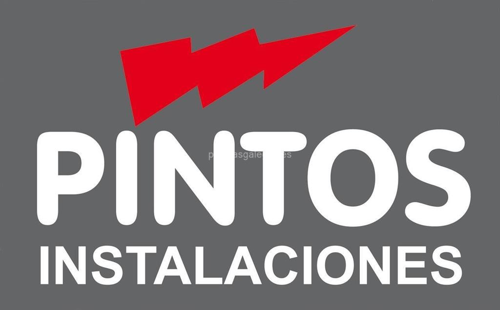 logotipo I.E.P. Pintos, S.L. (Vaillant)