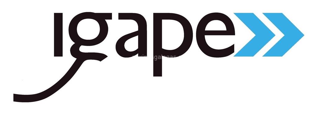logotipo IGAPE - Instituto Galego de Promoción Económica (Instituto Gallego)