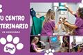 video corporativo Imevet Centro Veterinario