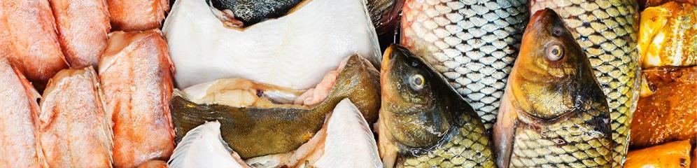 Importación, exportación y mayoristas de pescado y marisco en provincia Ourense