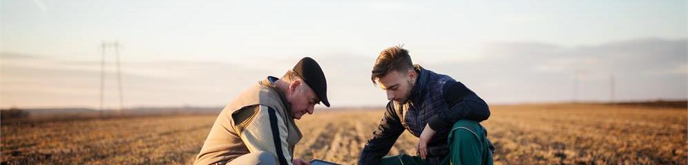 Ingenieros agrónomos en Galicia