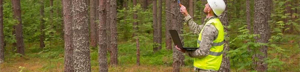 Ingenieros técnicos forestales en Galicia