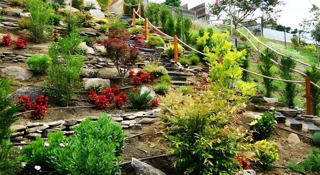 Jardines Castor imagen 6