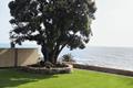 imagen 3 Jardines Castor