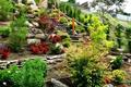 imagen 4 Jardines Castor
