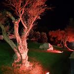 Foto de la empresa (4)