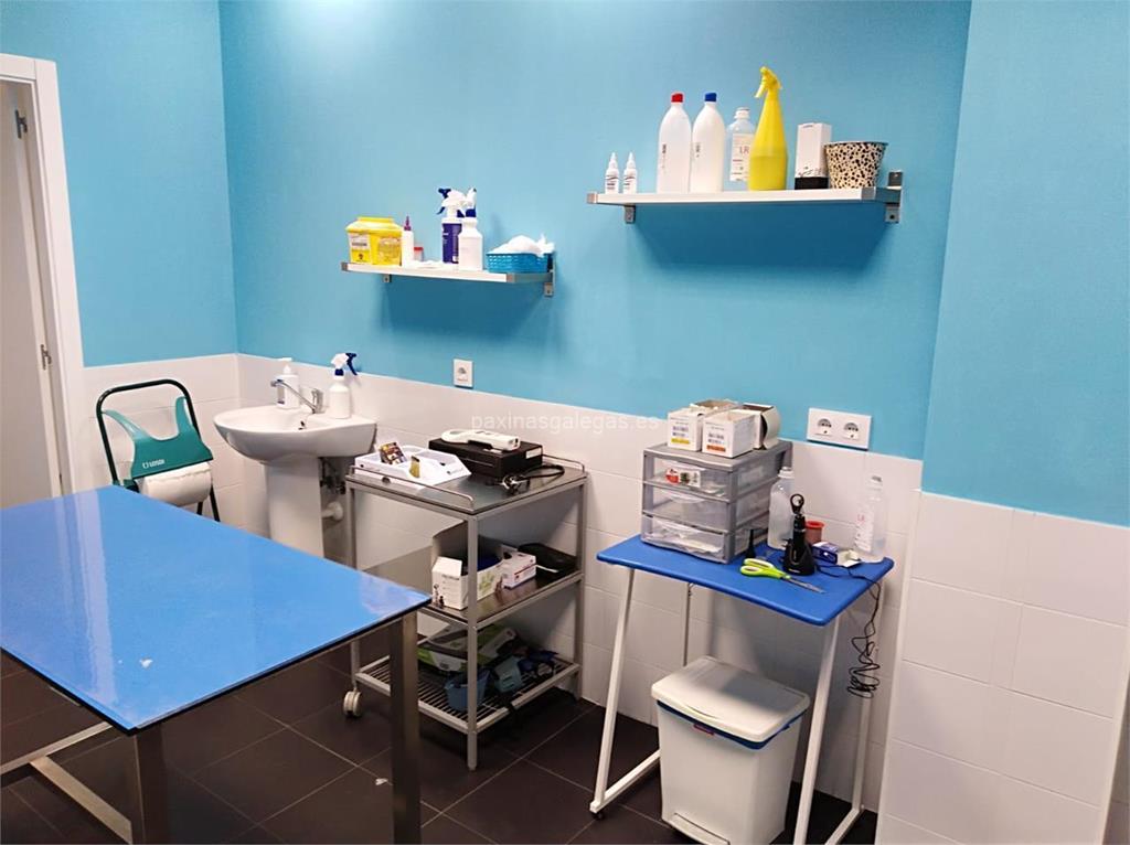 Clínica Veterinaria Katuxa en Arteixo