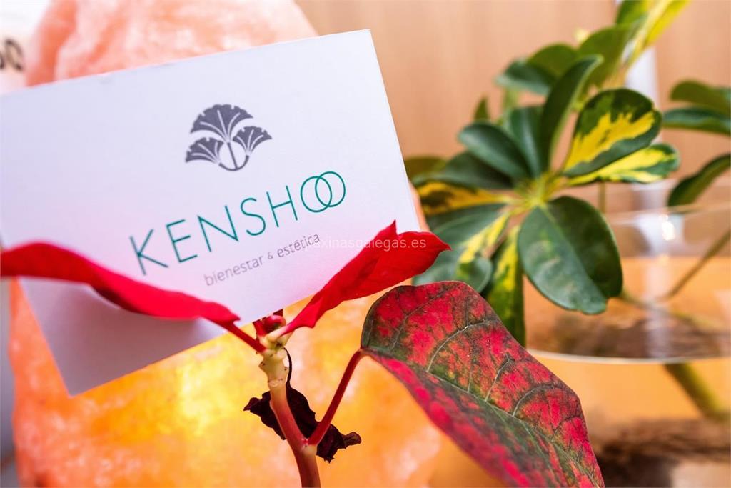 Kenshoo (La Phyto) imagen 21