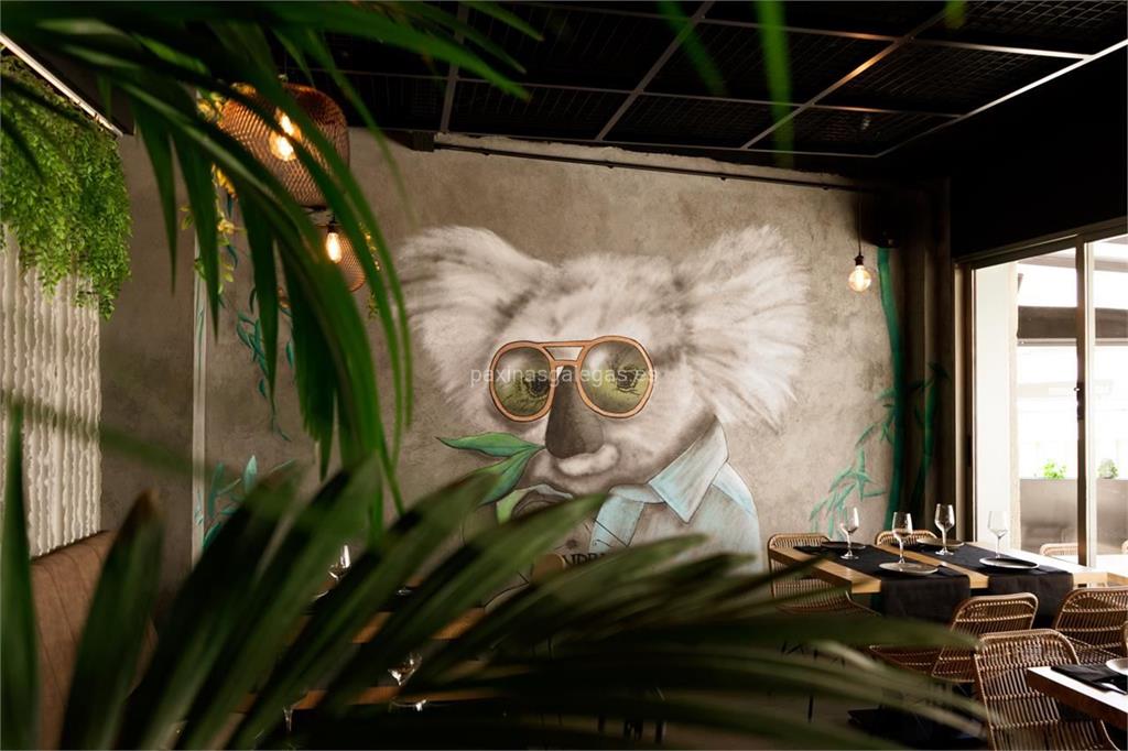 Koala Rest Club imagen 8