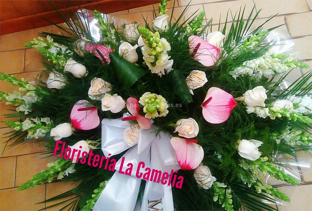 La Camelia imagen 13