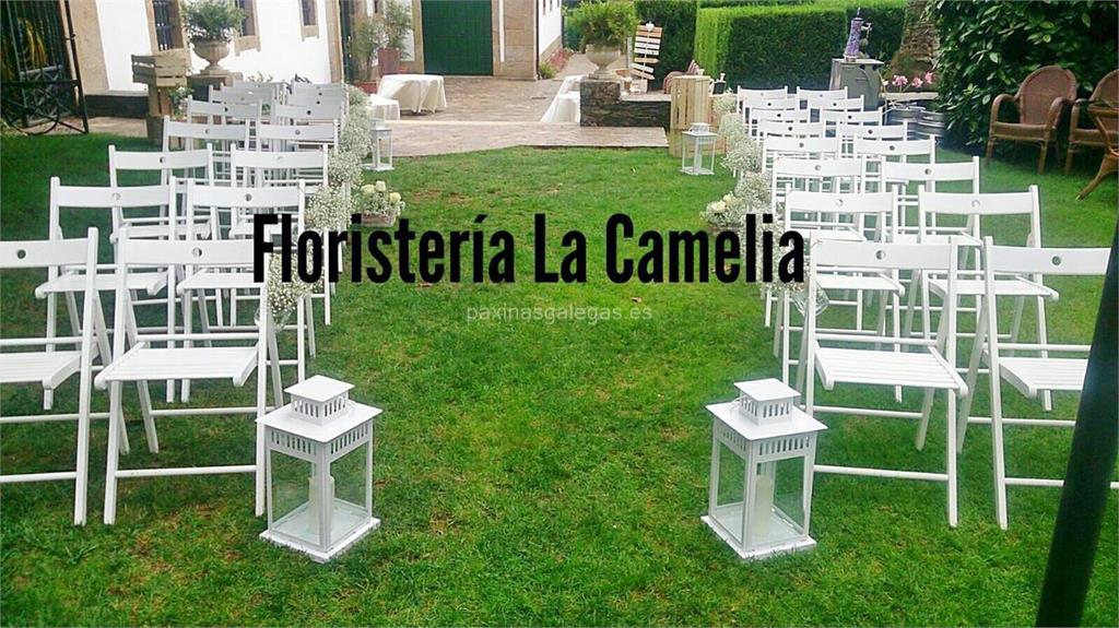 La Camelia imagen 18