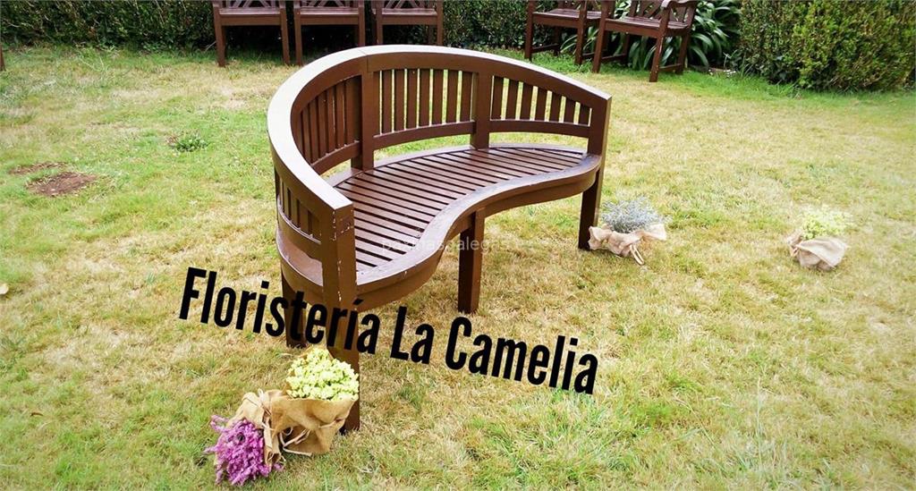 La Camelia imagen 19