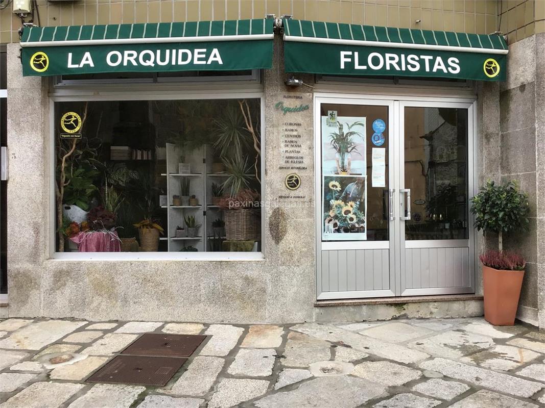 Floristería la Orquídea Floristería la Orquídea