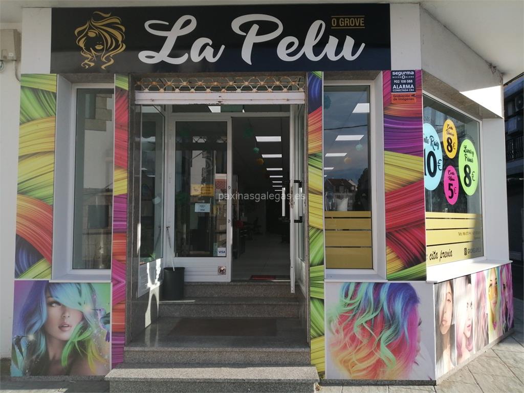 imagen principal La Pelu