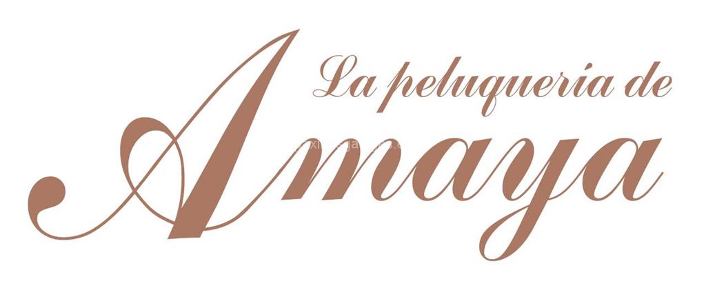 logotipo La Peluquería de Amaya (Schwarzkopf)