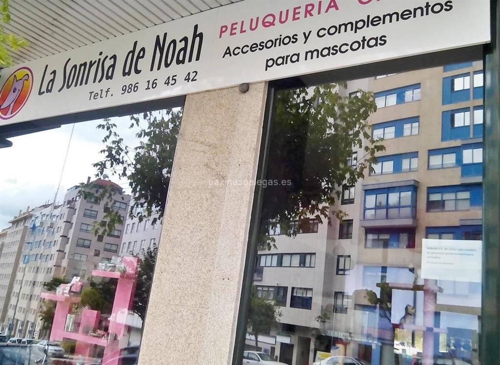 La Sonrisa de Noah imagen 9