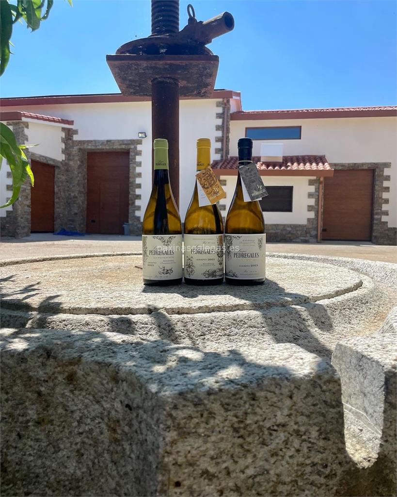 imagen principal Lagar de Pedregales (Albariño)
