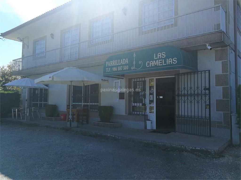 imagen principal Las Camelias