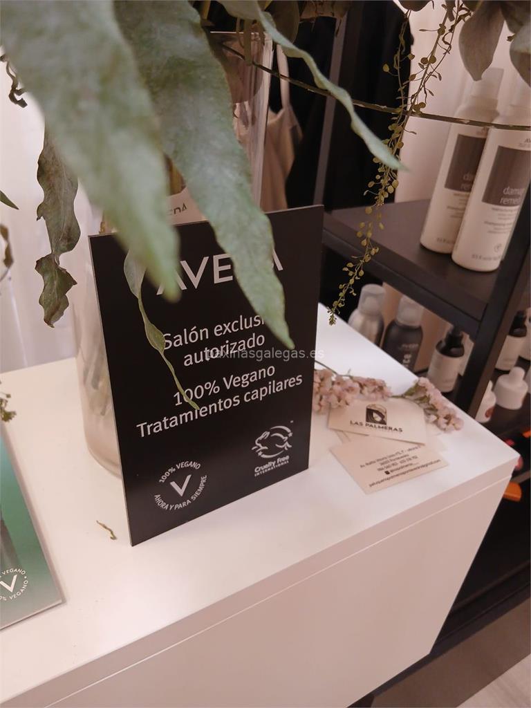 Las Palmeras imagen 7