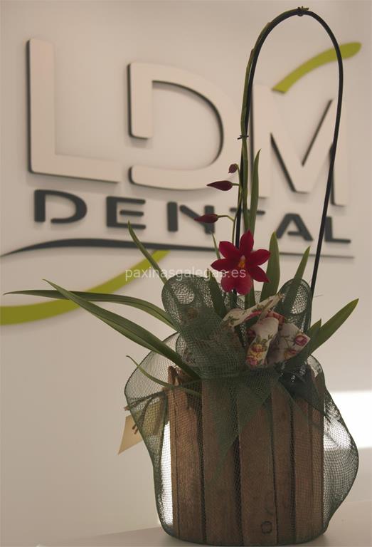 LDM Dental imagen 21