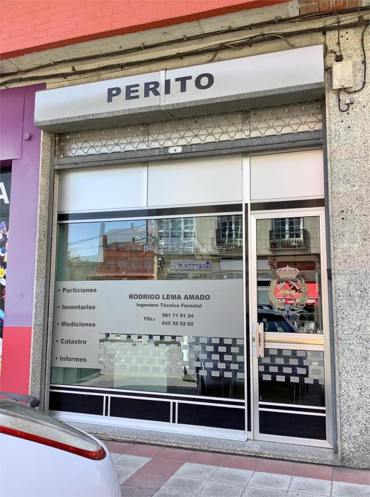 imagen principal Lema Amado, Rodrigo