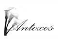 logotipo Lencería Antoxos