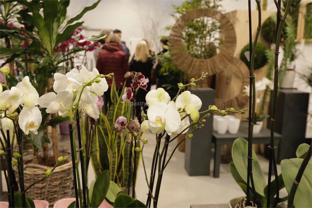 Lilas Floristas - Interflora imagen 6