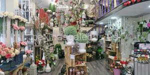 Foto de la empresa (1)