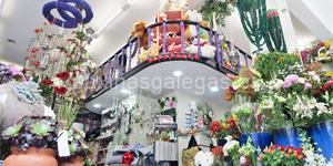 Foto de la empresa (3)