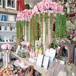 Foto de la empresa (4)