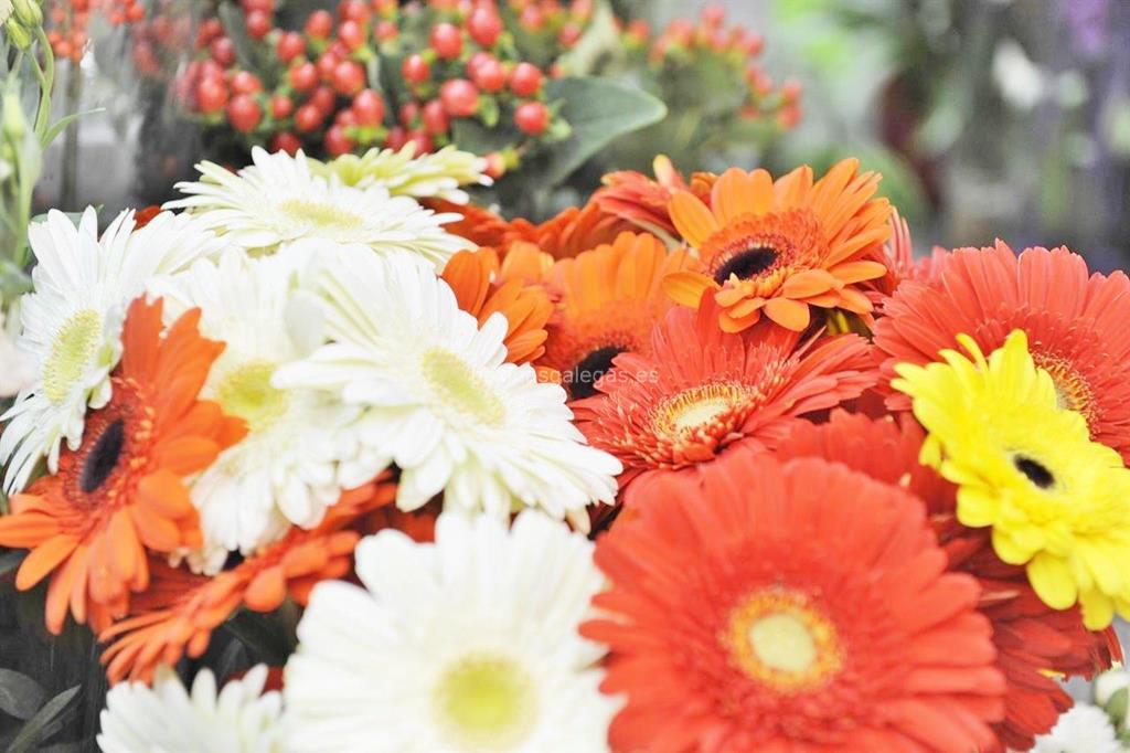 Lilas Floristas - Interflora imagen 7