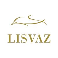 Logotipo Lisvaz