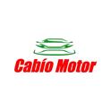 Logo Panel Control