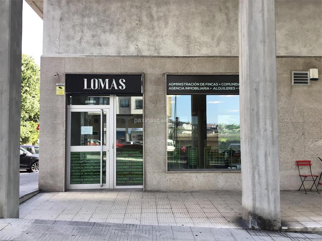 imagen principal Lomas