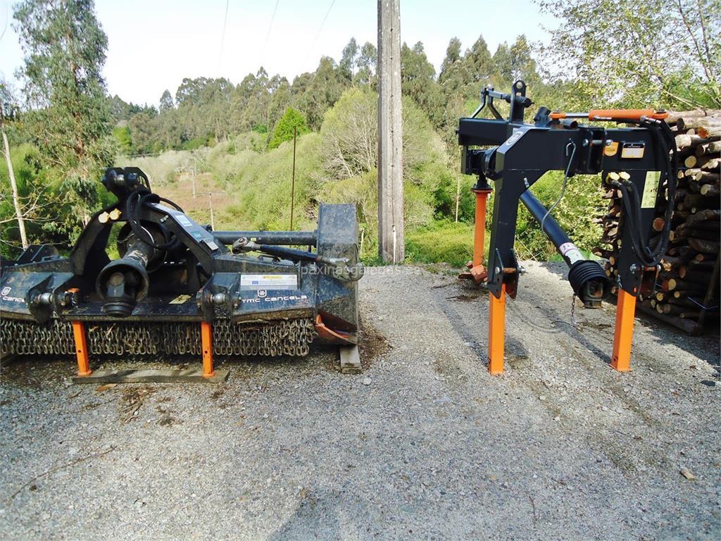 Lomba Forestal imagen 11