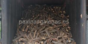 Foto de la empresa (1)