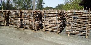 Foto de la empresa (3)