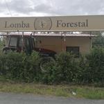 Foto de la empresa (4)