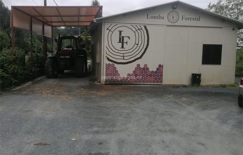 Lomba Forestal imagen 6